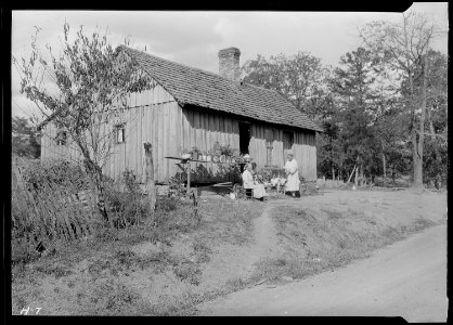 Home of a renter on a small farm in Sevier County, Tennessee. Note the attempt to beautify the place with potted... - NARA - 532631 photo