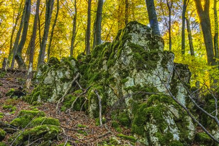 Stone overgrown idyll photo