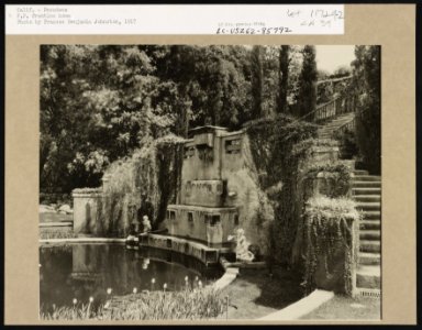 Il Paradiso, Mrs. Dudley Peter Allen house, 1188 Hillcrest Avenue, Oak Knoll, Pasadena, California. Lower garden stairs LCCN2002714628