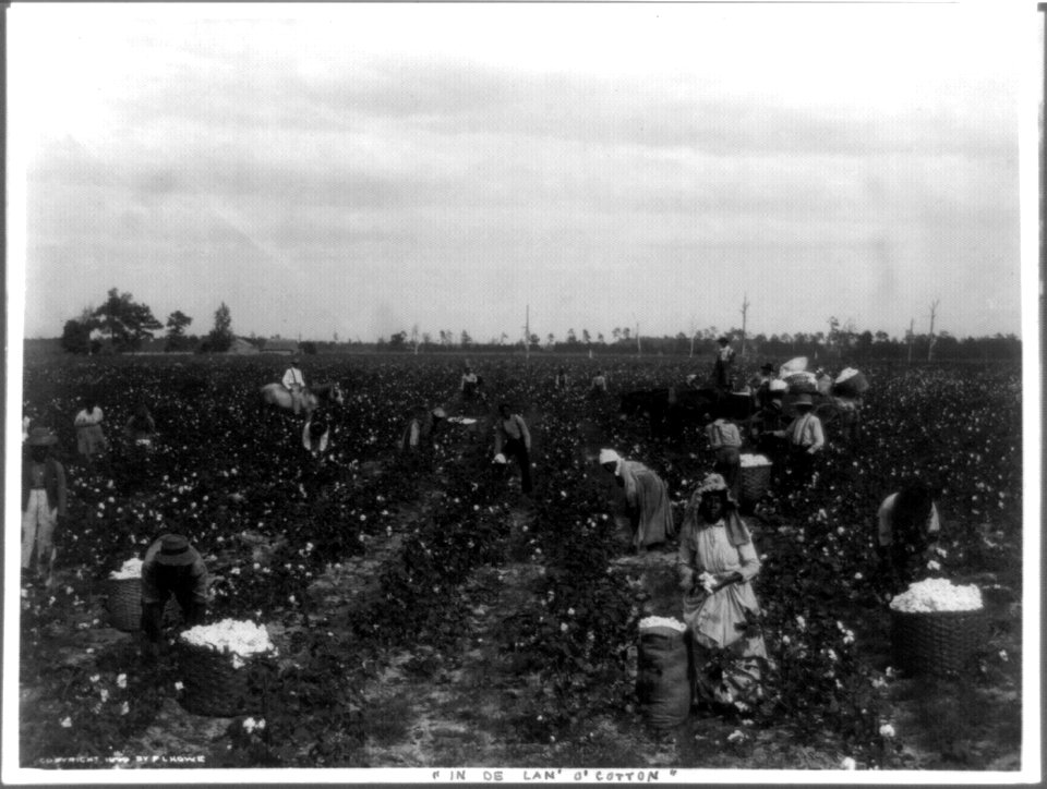 In de lan' o' cotton LCCN99400318