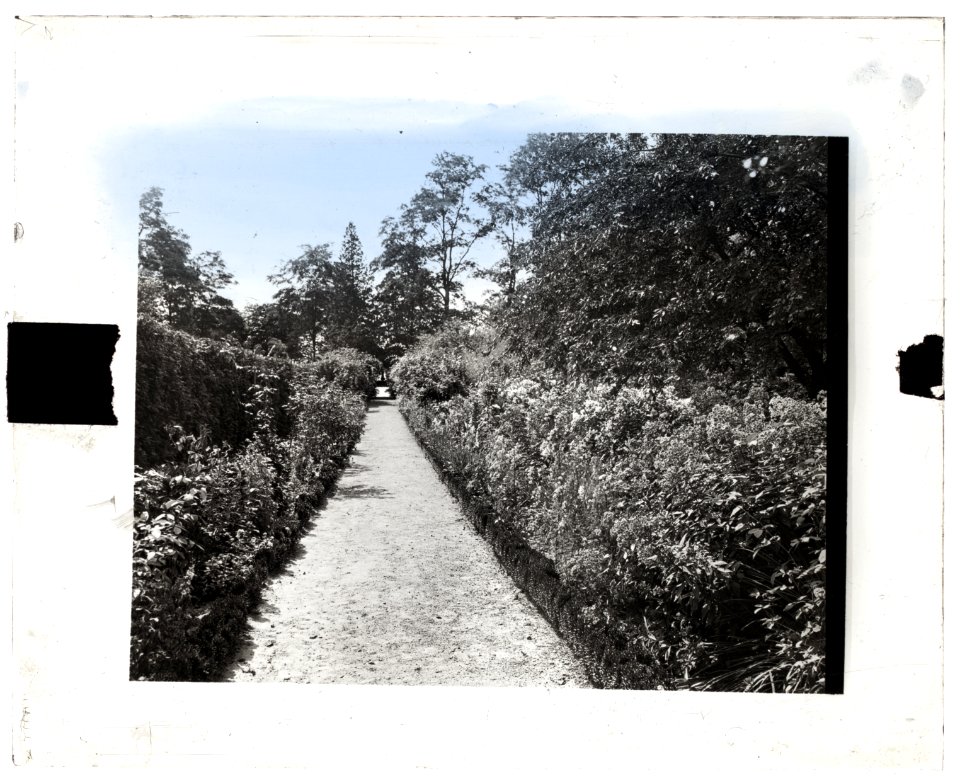 Indian Hill Farm, Moseley Family, West Newbury, Massachusetts. Flower border LCCN2008680113