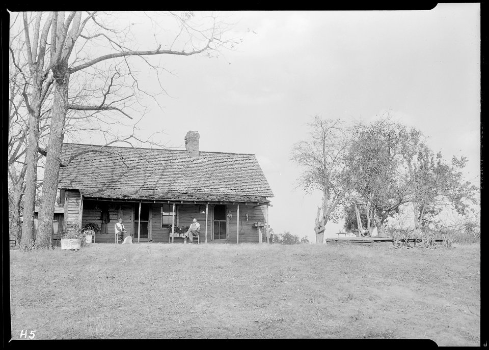 Jo Stinnett, Route ^3, Seymour, Tennessee, a renter farmer. He has never been out of the state, living in this... - NARA - 532629