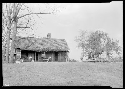 Jo Stinnett, Route ^3, Seymour, Tennessee, a renter farmer. He has never been out of the state, living in this... - NARA - 532629