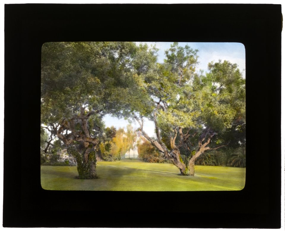 La Chiquita, Francis Townsend Underhill house, Channel Drive, Montecito, California. View from house to live oaks LCCN2007684911