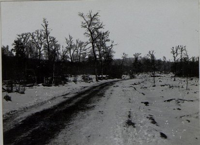 Lirtal Weg zur Stellung des Landwehrinfanterieregimentes 1 und 24 (BildID 15457235)