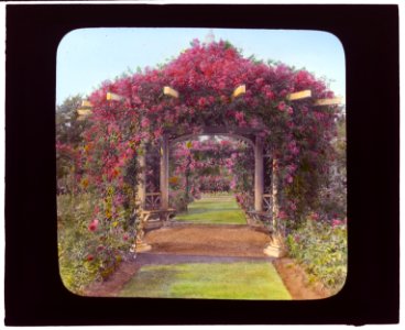 Lyndhurst, Finley Johnson Shepard house, 635 South Broadway, Tarrytown, New York. Rose arbor LCCN2007685950