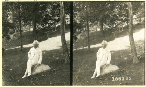 Mark Twain, S. L. Clemens LCCN2002737352