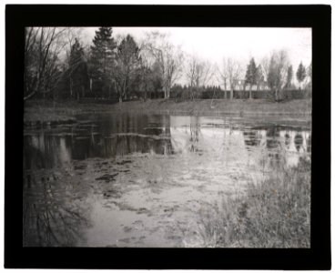 Marshfield, George Woodward Wickersham house, Cedarhurst, New York. Pond before landscaping LCCN2007685142