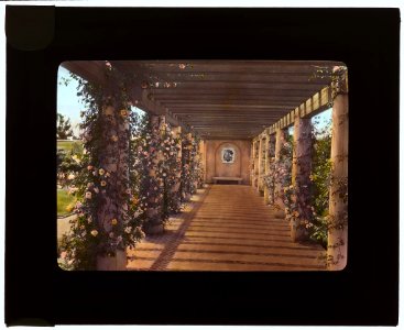 Mi Sueño, Herbert Coppell house,1245 South Grand Avenue, Pasadena, California. Pergola from house to flower garden LCCN2007685149