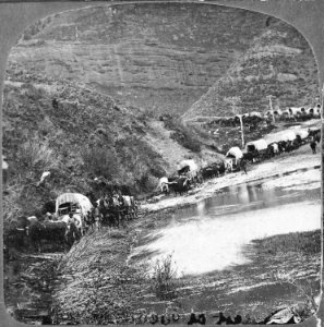 Mormon emigrants. - NARA - 533790