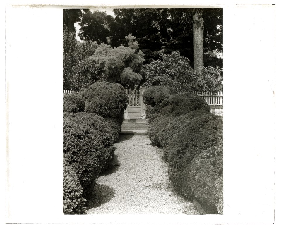 Mount Vernon, George Washington house, George Washington Parkway, Mount Vernon, Virginia. Box hedge along walkway LCCN2008680011