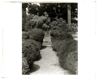Mount Vernon, George Washington house, George Washington Parkway, Mount Vernon, Virginia. Box hedge along walkway LCCN2008680011
