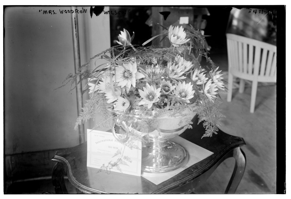 Mrs. Woodrow Wilson (flower arrangement) LCCN2014697297