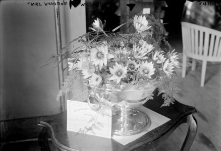 Mrs. Woodrow Wilson (flower arrangement) LCCN2014697297