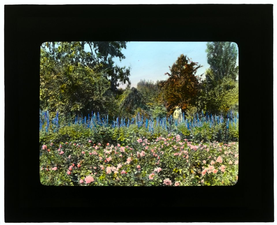 Newmar, Senator George Almer Newhall house, 1761 Manor Drive, Hillsborough, California. Rose garden LCCN2007685025