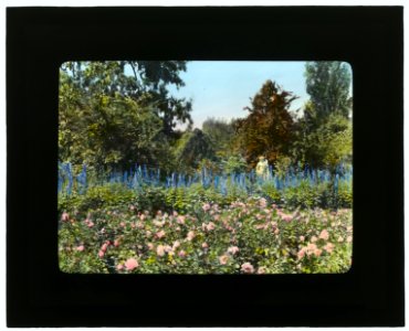 Newmar, Senator George Almer Newhall house, 1761 Manor Drive, Hillsborough, California. Rose garden LCCN2007685025