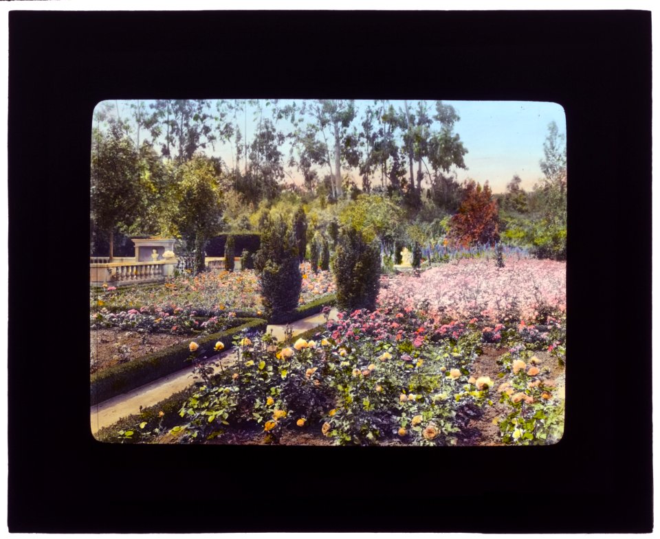 Newmar, Senator George Almer Newhall house, 1761 Manor Drive, Hillsborough, California. Rose garden LCCN2007685020