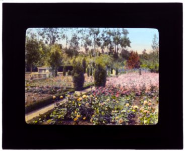 Newmar, Senator George Almer Newhall house, 1761 Manor Drive, Hillsborough, California. Rose garden LCCN2007685020