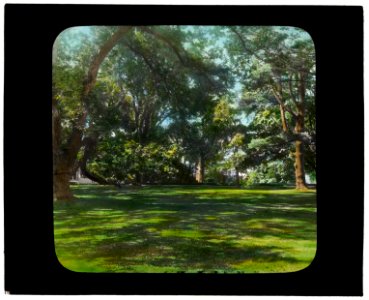 Oakland Farm, Alfred Gwynne Vanderbilt house, East Main Road, Portsmouth, Rhode Island. Lawn LCCN2008676041