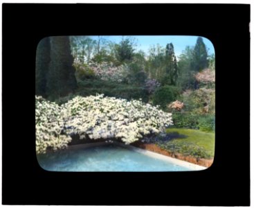 Old Acres, Robert Low Bacon house, Old Westbury, New York. Azaleas by pool LCCN2007685121