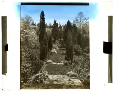 Old Acres, Robert Low Bacon house, Old Westbury, New York. Steps from rose garden to wild flower sanctuary LCCN2008680028