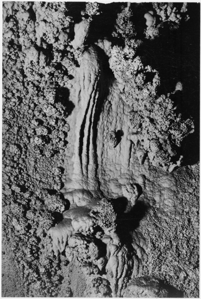 Stalactite formations near entrance to the Queen's Chamber, detail, Carlsbad Caverns National Park, New Mexico. (verti - NARA - 520043