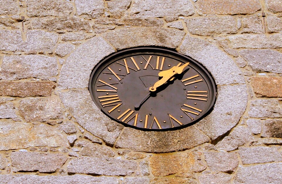 Historic clock shield old clock