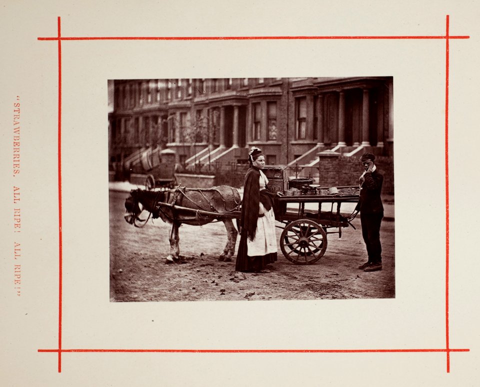 Strawberries. All ripe! All ripe! by John Thomson