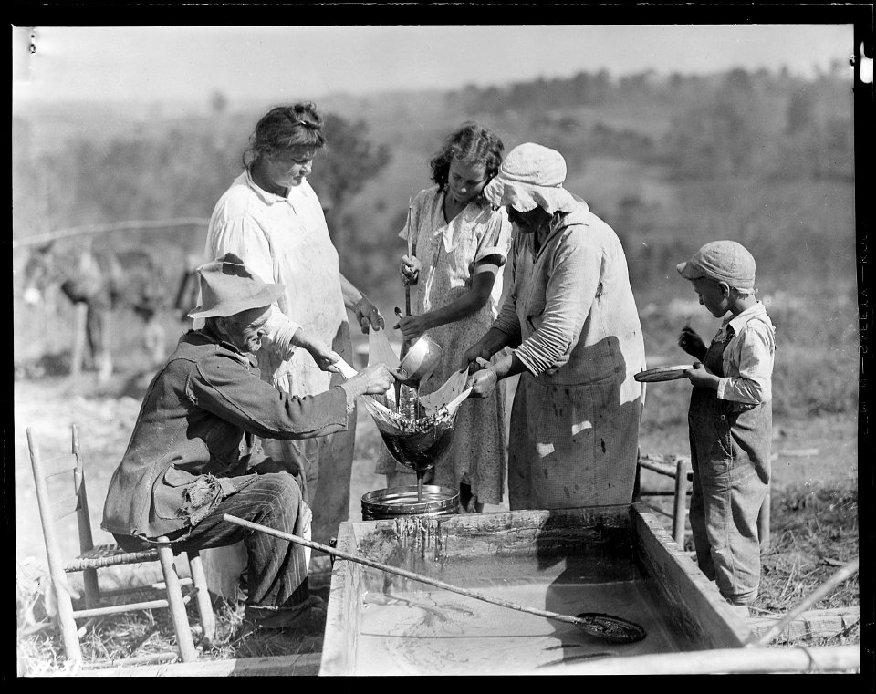 Straining the sorghum on the farm of J. W. Stooksberry, Anderson County, Tennessee. This is the primitive way of... - NARA - 532655