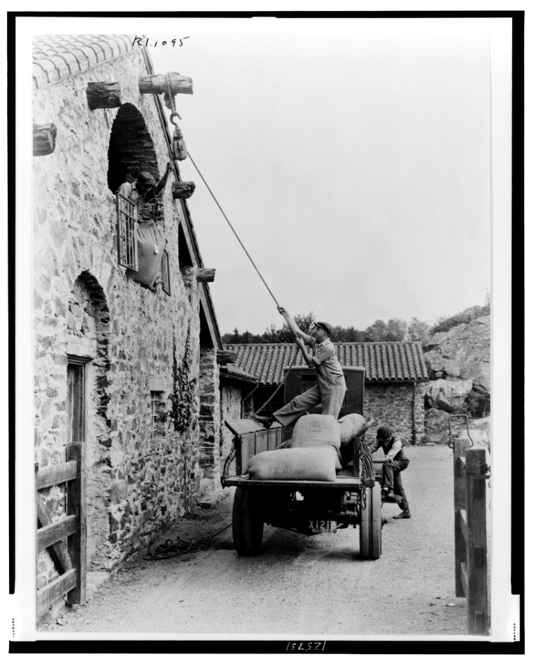Surprise Valley Farm, Arthur Curtiss James property, Beacon Hill Road, Newport, Rhode Island. Men loading sacks of grain from truck in courtyard into second floor doorway of barn LCCN00651260