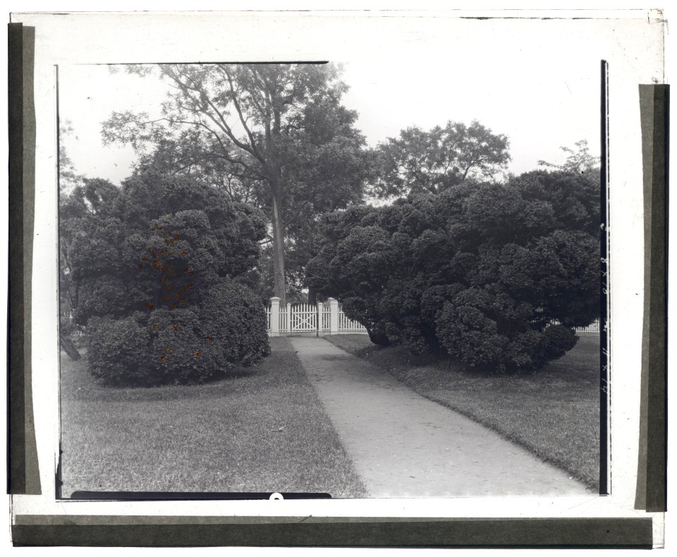 Sylvester Manor, Cornelia Horsford house, Shelter Island, New York. Boxwood at pathway LCCN2008680082