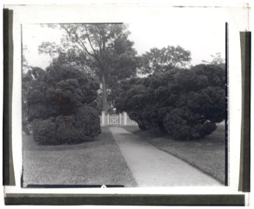 Sylvester Manor, Cornelia Horsford house, Shelter Island, New York. Boxwood at pathway LCCN2008680082