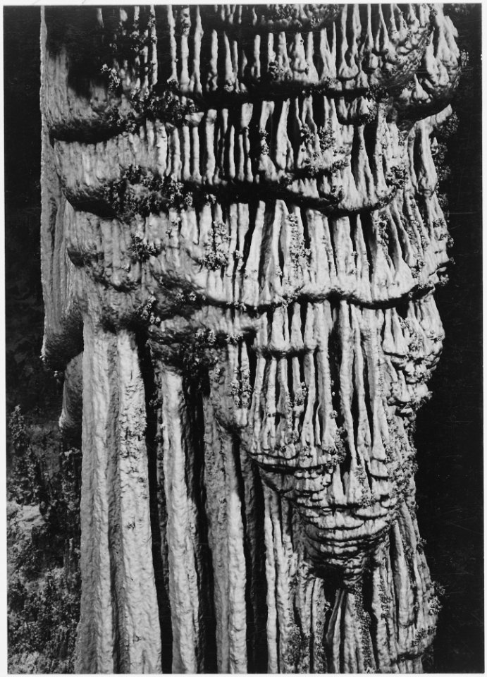 The Chinese Pagoda, 'Big Room,' detail, Carlsbad Caverns National Park, New Mexico. (vertical Orientation), 1933 - 194 - NARA - 520047