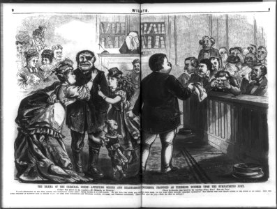 The Drama of the Criminal Court LCCN2004670947