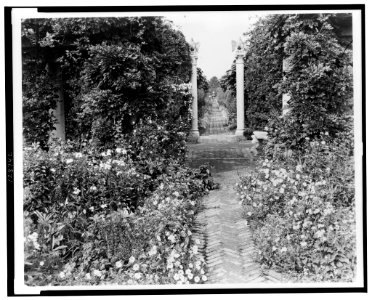 The Orchard, James Lawrence Breese house, 151 Hill Streeet, Southampton, New York. Pathway with eagle columns) LCCN2001696954