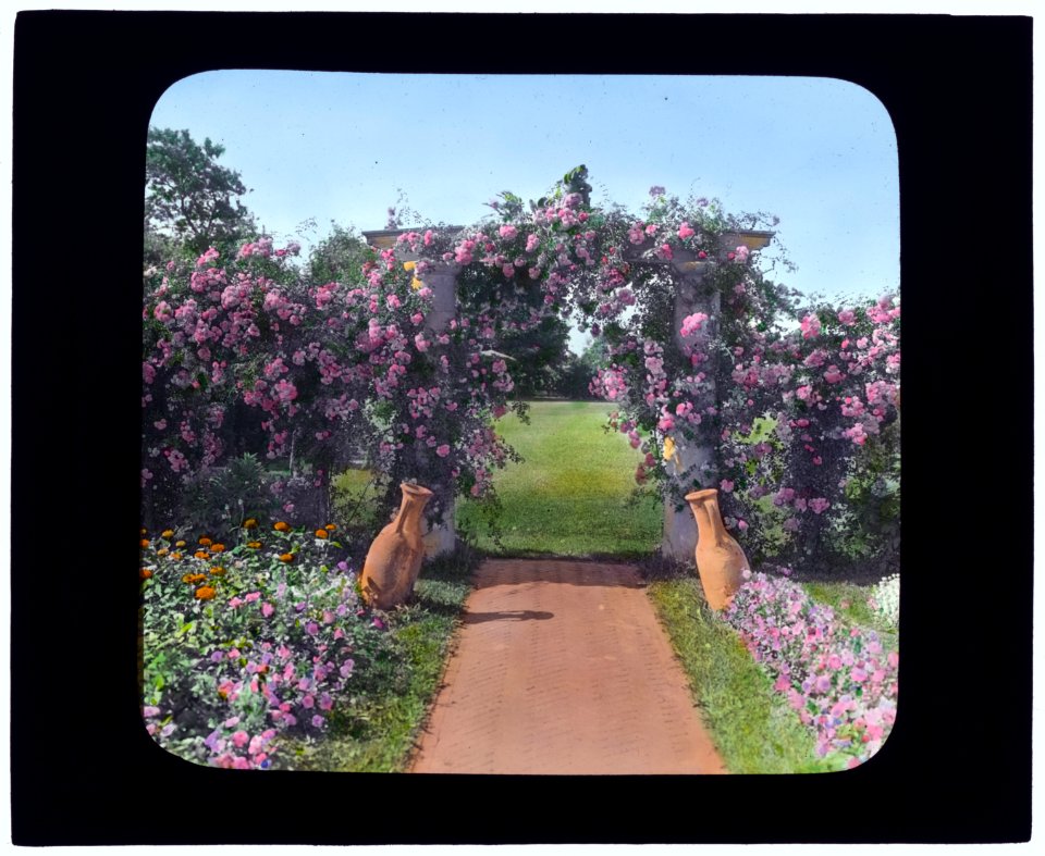 The Fens, Lorenzo Easton Woodhouse house, Huntting Lane, East Hampton, New York. Rose arbor LCCN2007685976