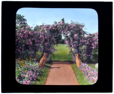 The Fens, Lorenzo Easton Woodhouse house, Huntting Lane, East Hampton, New York. Rose arbor LCCN2007685976