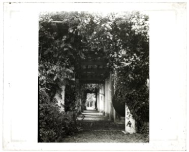 The Orchard, James Lawrence Breese house, 151 Hill Streeet, Southampton, New York. Pergola LCCN2008680104