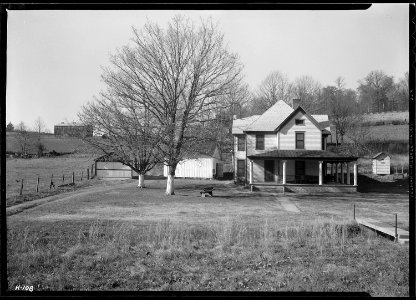 The homestead of Sherman Stiner, Lead Mine Bend, Union County, Tennessee. Mr. Stiner is a prosperous and progressive... - NARA - 532726
