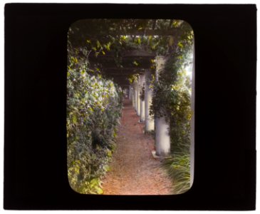 The Orchard, James Lawrence Breese house, 151 Hill Street, Southampton, New York. Pergola LCCN2007685915