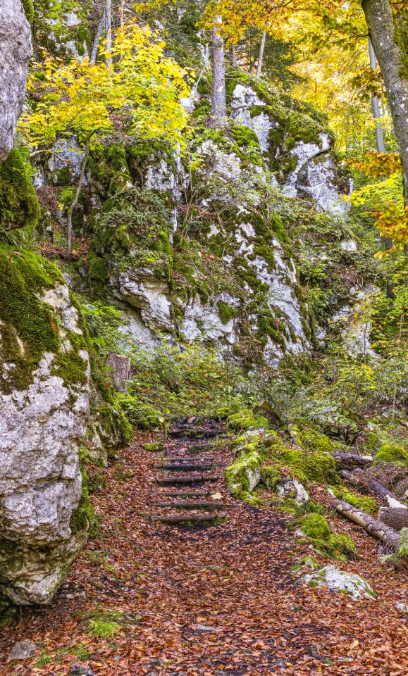 Hiking trail beautiful