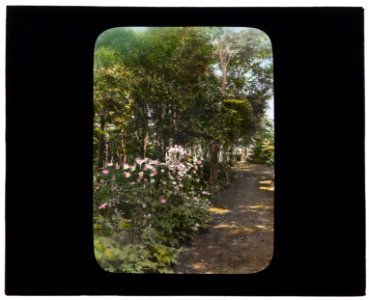 The Reef, Theodore Montgomery Davis house, Ocean Avenue at Brenton Point, Newport, Rhode Island. Pathway LCCN2007685932