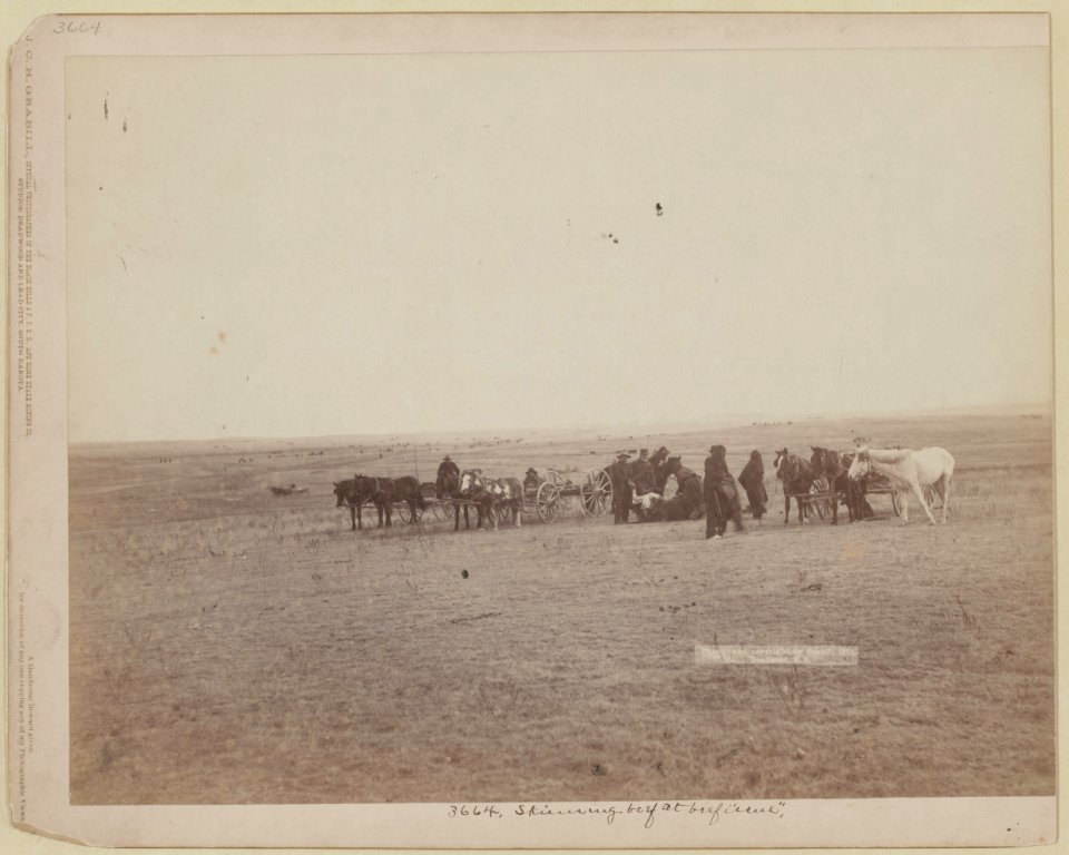The shepherd and flock. On F.E. & M.V. R'y. in Dakota LCCN99613967