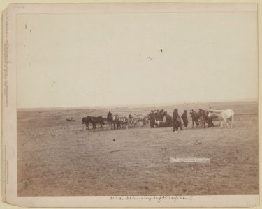 The shepherd and flock. On F.E. & M.V. R'y. in Dakota LCCN99613967