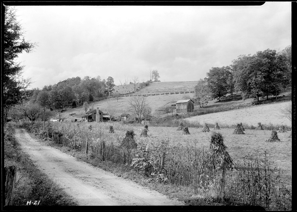 The Stooksberry homestead near Andersonville, Tennessee. This land will be submerged by the Norris Dam Reservoir. - NARA - 532645
