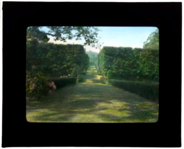 Thornedale, Oakleigh Thorne house, Millbrook, New York. Sugar maple hedge along alley to rose garden LCCN2007685138