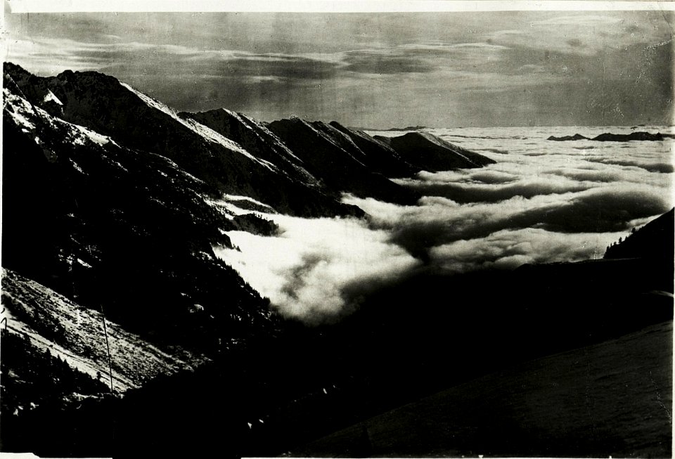 TIROL (BildID 15429861)