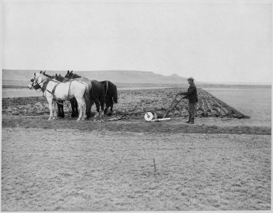 Turning over first sod on homestead. Sun River Mont. By Lubkin, November 5, 1908 - NARA - 531559