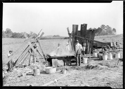 Up-to-date method of making molasses on the farm of Fred Hatmaker. This farm will be under water when the Norris Dam... - NARA - 532656