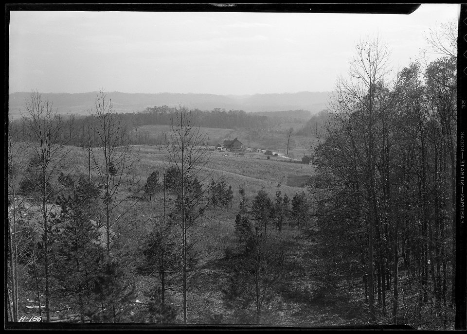 View from the north of the poultry and gardening center of the TVA at Norris. - NARA - 532803